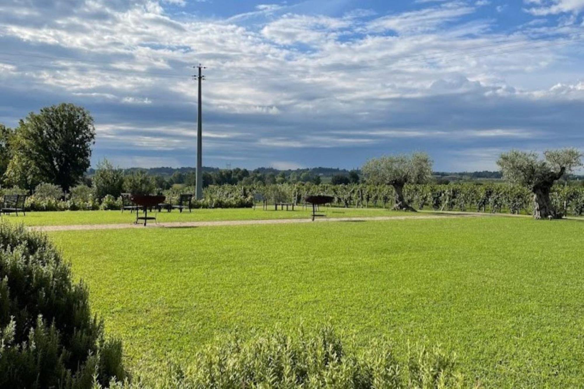 Almavite Wine Resort With Pool ديسينسانو ديل غاردا المظهر الخارجي الصورة
